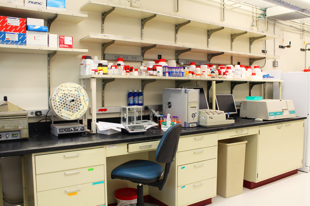 Typical chemical lab with fume hoods