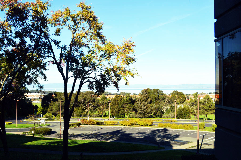 The bay view from the research building at JOINN Innovation Park