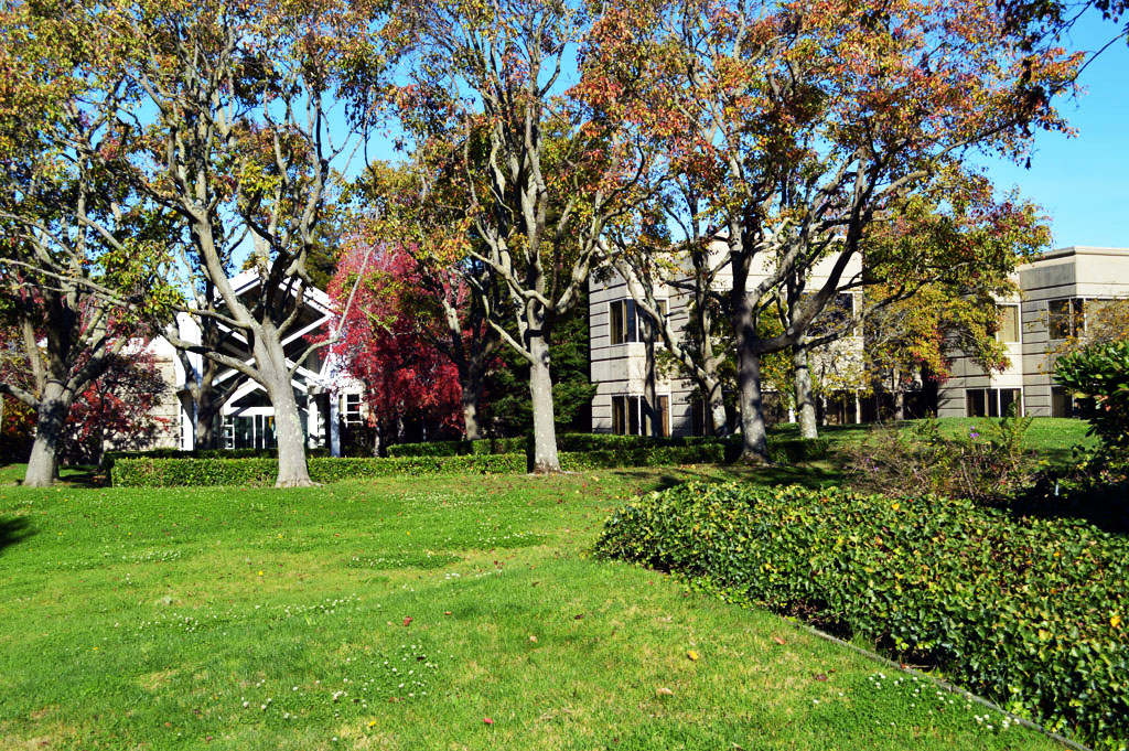 The garden of JOINN Innovation Park