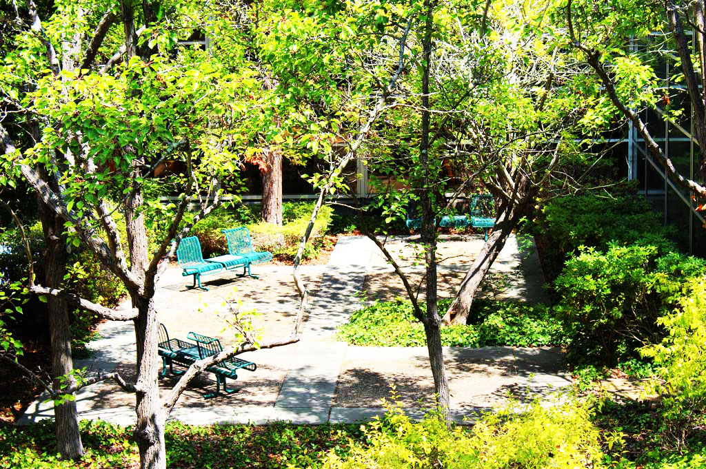 The garden of JOINN Innovation Park