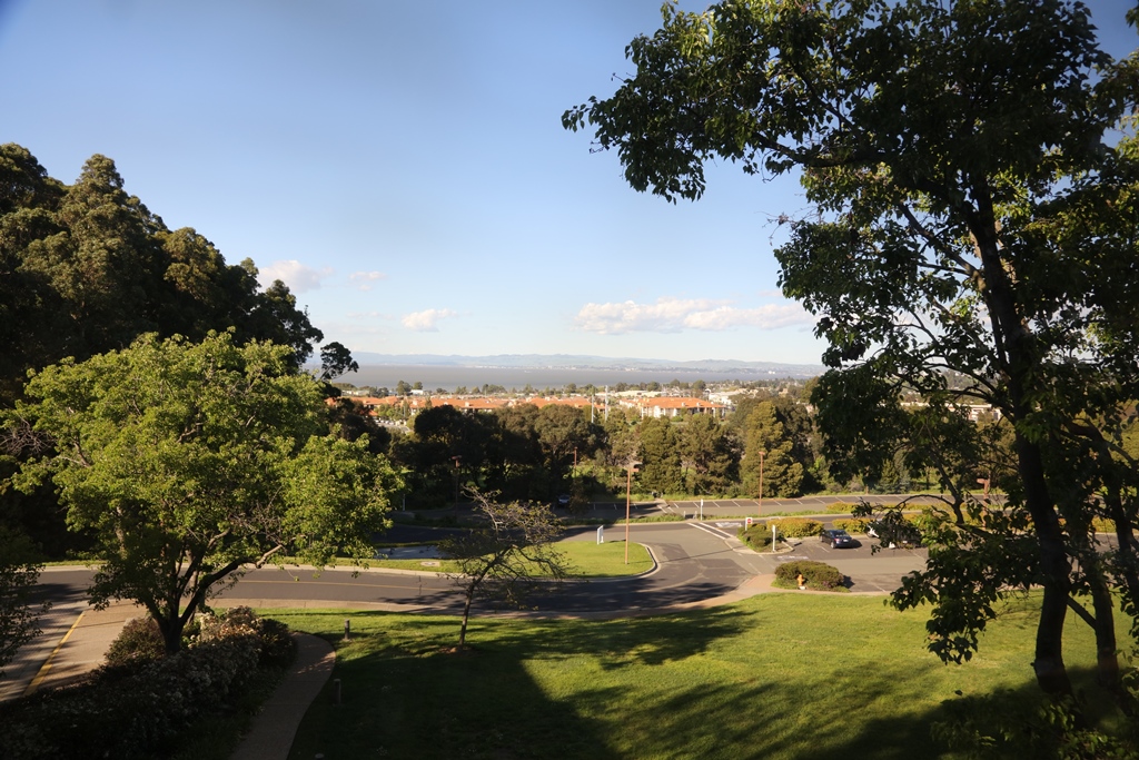 The garden view from research building of JOINN Innovation Park