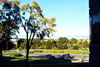 Thumb icon of the bay view from the research building at JOINN Innovation Park